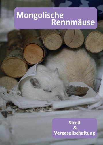 Das Rennmausbuch - Detailbuch Streit 