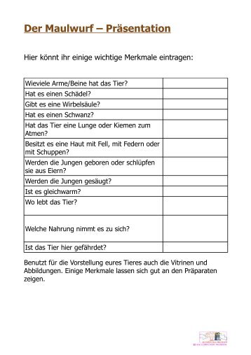 Arbeitsblatt SchÃ¼ler Maulwurf (PDF) - Jugend ins Museum