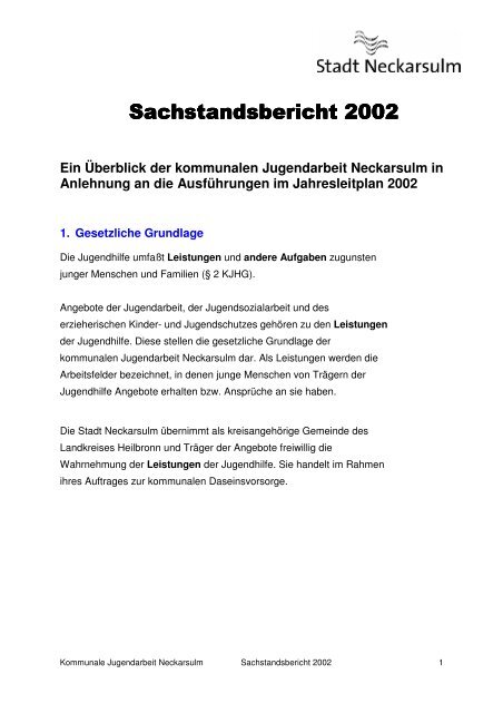 Entwicklungsbericht Schreiben Für Jugendamt Muster Sachstandsbericht 2002 - Kommunale Jugendarbeit Neckarsulm