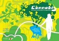 Pocket-Info Cannabis - Jugend(Sucht)Beratung Hamm