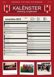 10 novembre / November 2012 - Junglinster