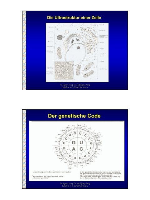 Gentechnologie Segen oder Fluch ?