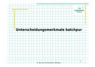 Info auf dem batchpur® SBR-Aufstausystem Datenblatt