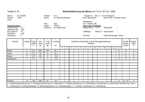 Elektrobefischungen von Abschnitten der Werra zwischen ...