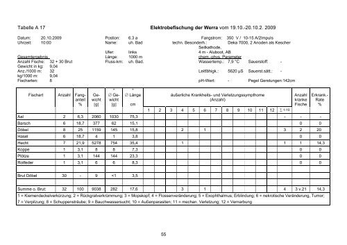 Elektrobefischungen von Abschnitten der Werra zwischen ...