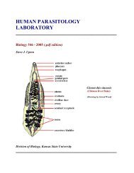 le parazitákkal sheckley olvasta)