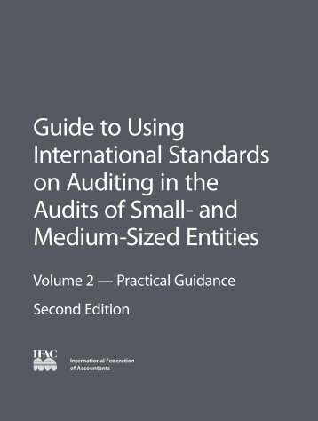 Guide to Using International Standards on Auditing in the Audits - IFAC