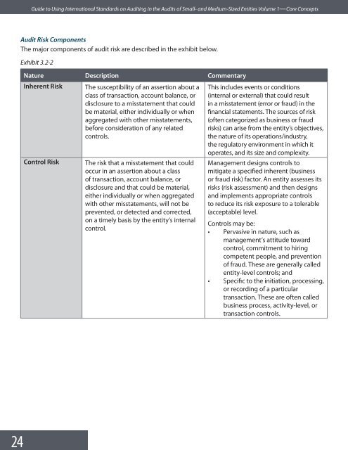 Guide to Using International Standards on Auditing in - IFAC