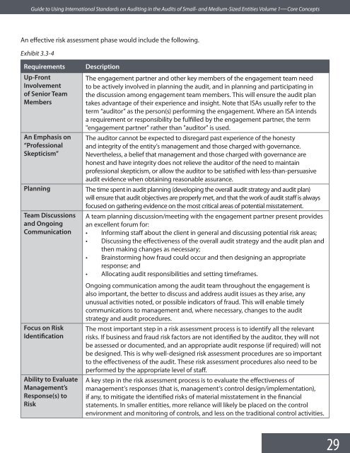 Guide to Using International Standards on Auditing in - IFAC