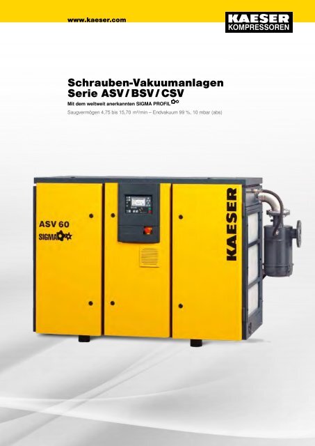 Schrauben-Vakuumanlagen Serie ASV/BSV/CSV