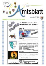 Ausgabe Nr. 27 vom 04.07.2013 - Verbandsgemeinde ...