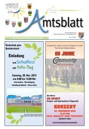 Ausgabe Nr. 47 vom 21.11.2013 - Verbandsgemeinde ...