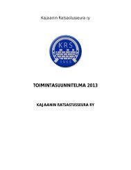 TOIMINTASUUNNITELMA 2013 - KRS