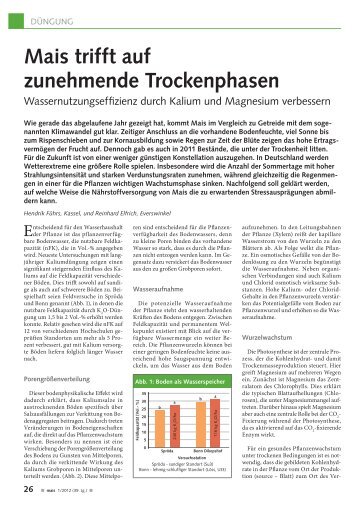 Mais trifft auf zunehmende Trockenphasen - K+S KALI GmbH