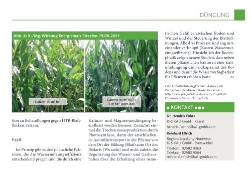 Mais trifft auf zunehmende Trockenphasen - K+S KALI GmbH