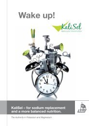 KaliSel - K+S KALI GmbH