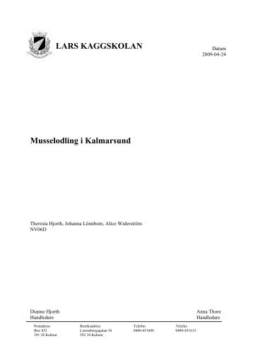 Examensarbete Musselodling i Kalmarsund - Kalmar kommun