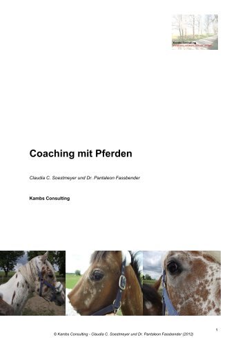 Coaching mit Pferden - Kambs Consulting