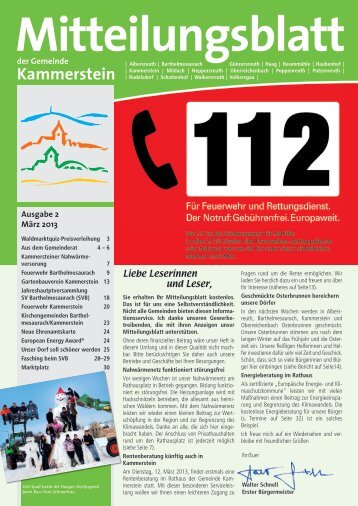 Mitteilungsblatt März 2013 (PDF) - Gemeinde Kammerstein