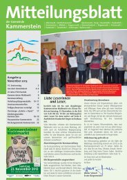 Mitteilungsblatt November 2013 (PDF) - Gemeinde Kammerstein