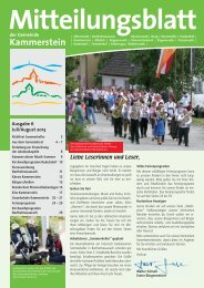 Mitteilungsblatt Juli 2013 (PDF) - Gemeinde Kammerstein