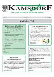 Amtsblatt, Monat Juli 2013 - Kamsdorf