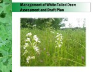 Management Of White-Tailed Deer - Forest Preserve District of Kane ...