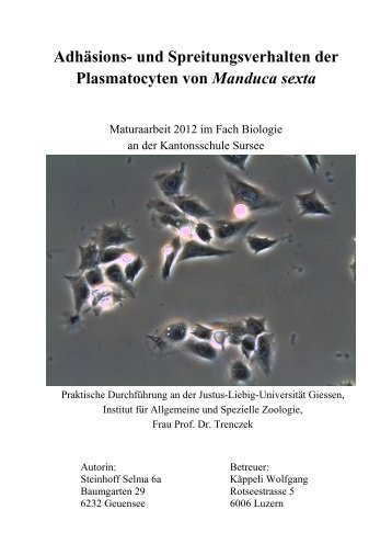 AdhÃ¤sions- und Spreitungsverhalten der Plasmatocyten ... - Sursee