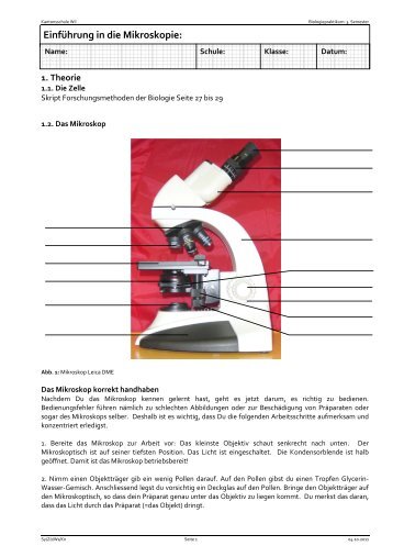 EinfÃ¼hrung in die Mikroskopie: - Kantonsschule Wil