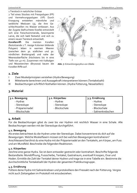 Vielzellerpraktikum: Hydra - Kantonsschule Wil