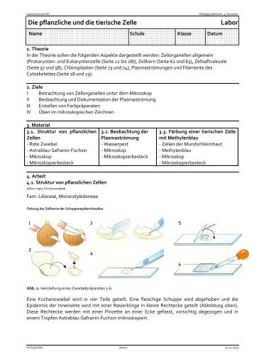 Mikrobiologie Kursablauf - Kantonsschule Wil