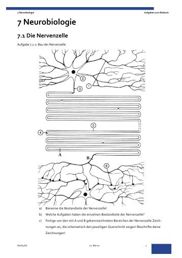 7 Neurobiologie