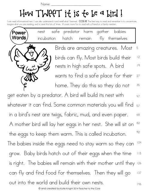 Power Passage {Birdie} Comprehension, Fluency, Smart Art, Writing, Quiz