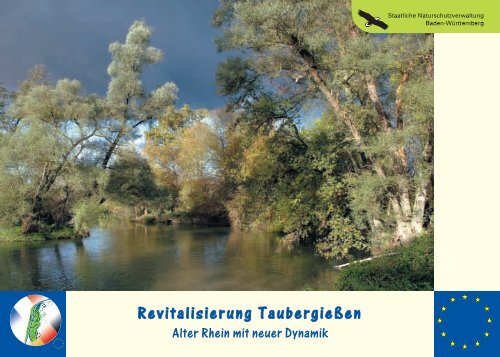 Revitalisierung Taubergießen - Kappel-Grafenhausen