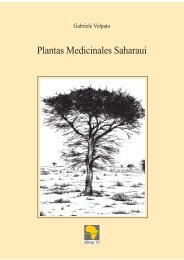 plantas-medicinales-saharauis