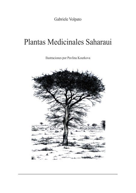 plantas-medicinales-saharauis