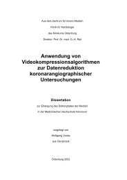 Anwendung von Videokompressionsalgorithmen zur ...