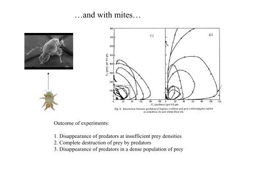 The Lotka-Volterra predator-prey model