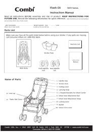 Flash EX Instruction Manual