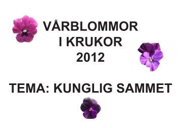 kunglig sammet - Karlshamn