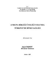 Uzmanlık Tezi-Aşiyan BAŞKENT - Kartal İlçe Gıda Tarım ve ...