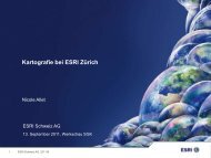 Kartografie bei ESRI ZÃ¼rich