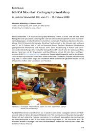 Bericht zum 6th ICA-Mountain Cartography Workshop, Lenk