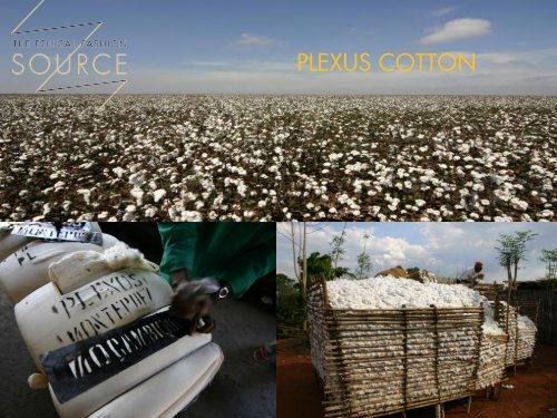 SOURCE EXPO 2013 Cotton, Natural Fibres 