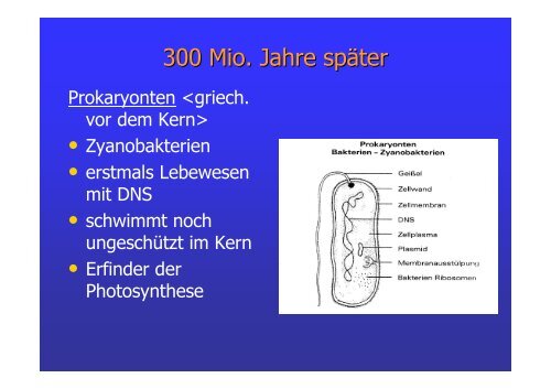 Entstehung und Entwicklung von irdischen Leben