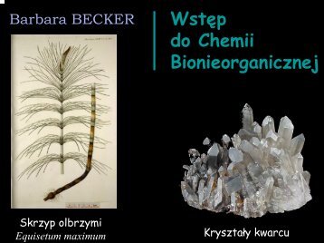 Wstęp do Chemii bionieorganicznej – prezentacja