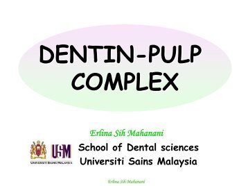 DENTIN PULP COMPLEX