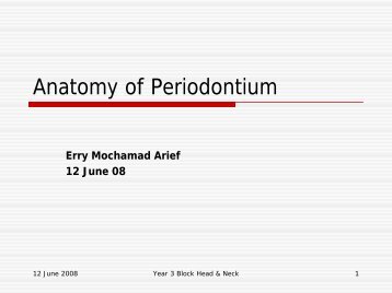 Lecture slides anatomy of periodontium 2008