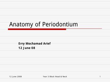 Lecture slides anatomy of periodontium 2008