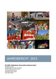 JAHRESBERICHT 2013